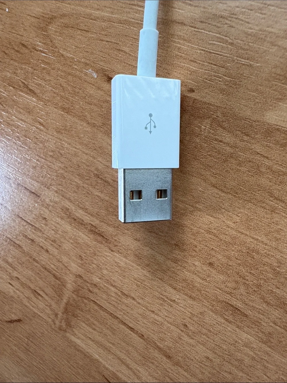 Apple White Magnetic Watch Charger Cable